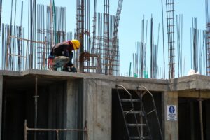 PZHP Staszów: Organizacja i Wydarzenia w Klubie Hodowców Ptaków